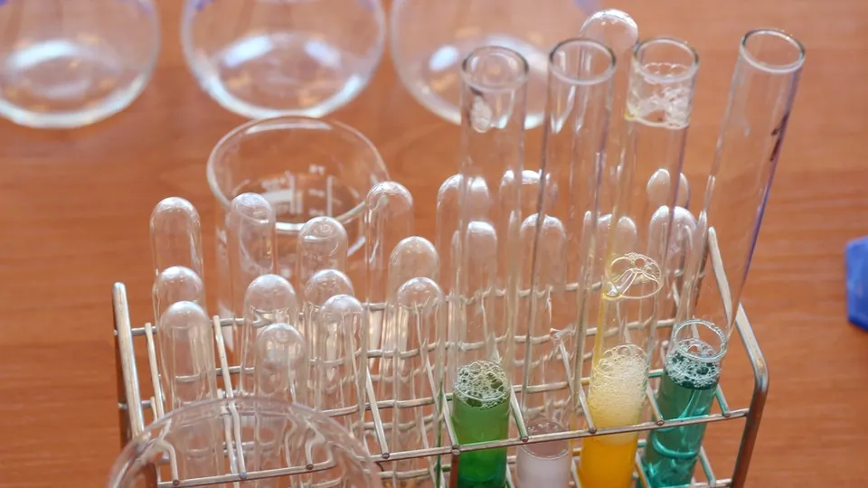 Test tubes with coloured solutions in a laboratory rack